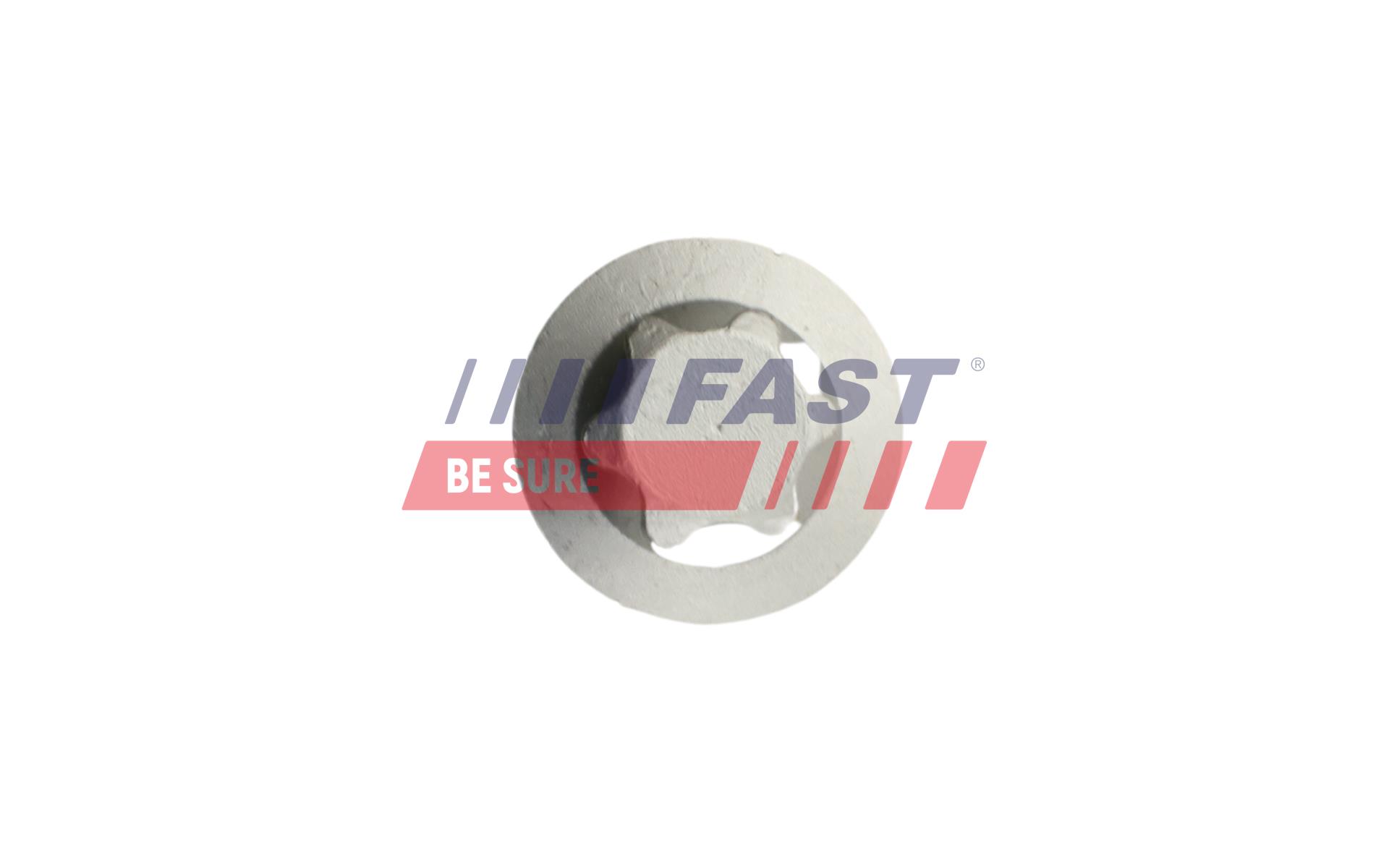 FAST FT14301 Bolt, axle body bearing
