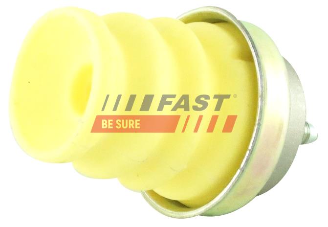 FAST FT18036 Lift Point...