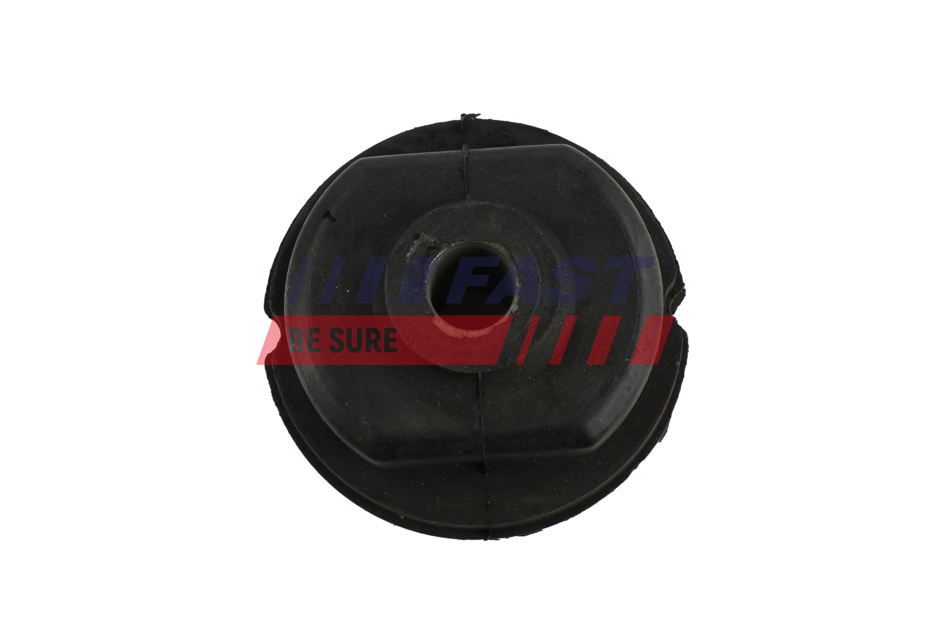 FAST FT18084 Bushing, leaf spring