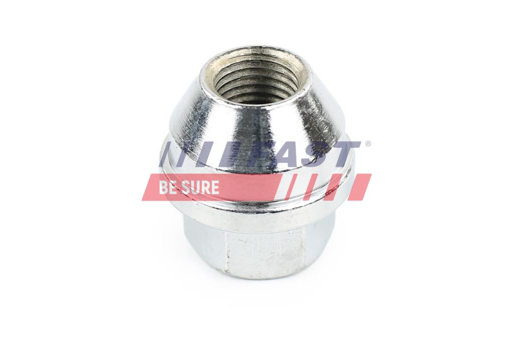 FAST FT21524 Wheel Nut...