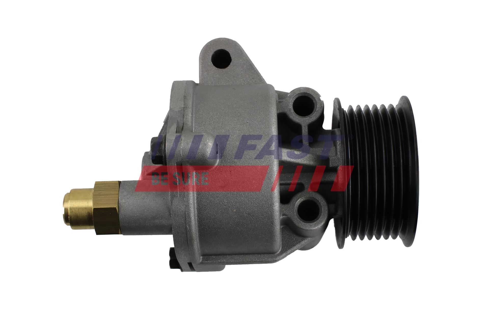 FAST FT36063 Vacuum Pump,...