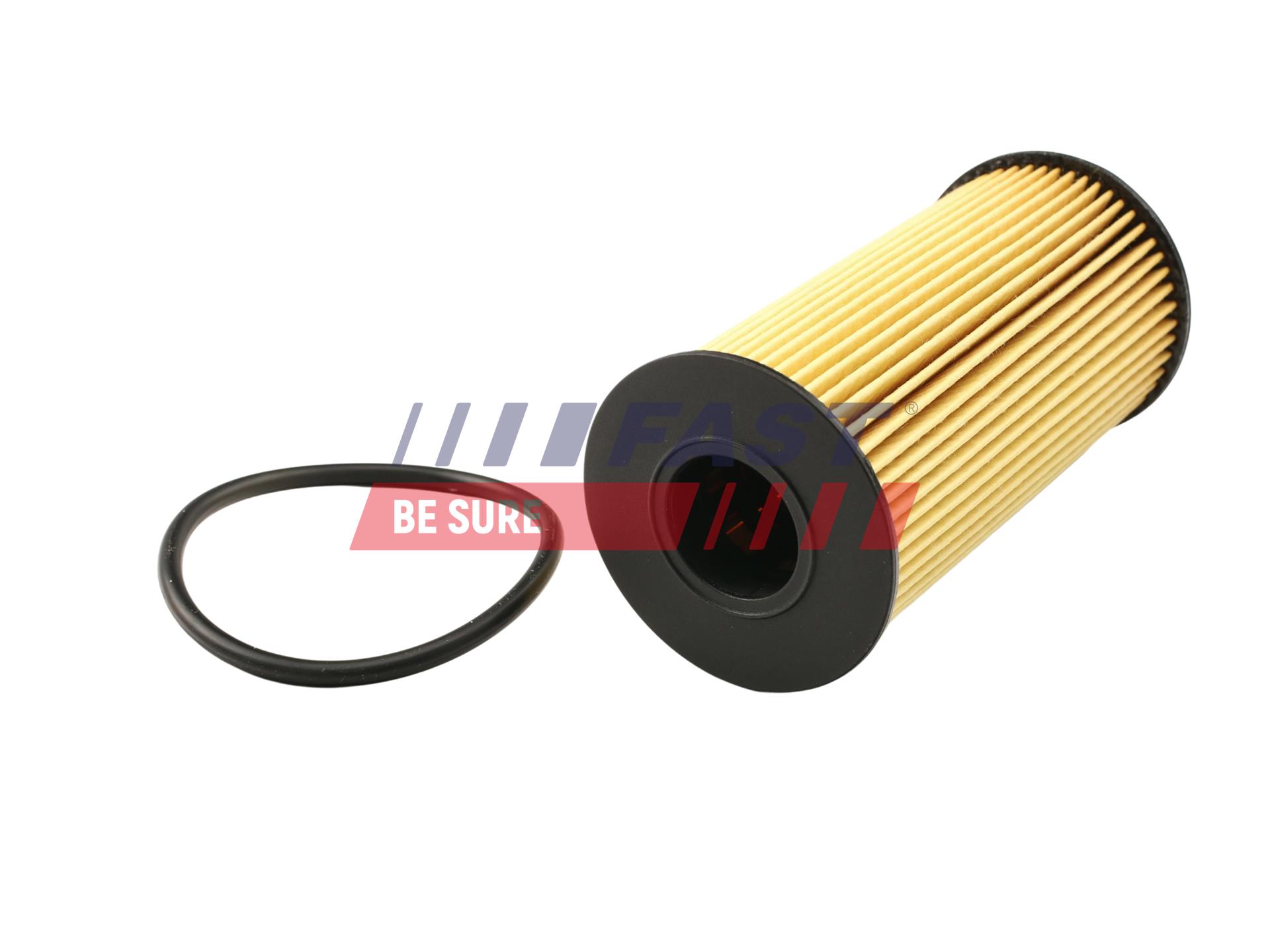 FAST FT38031 Oil Filter for...