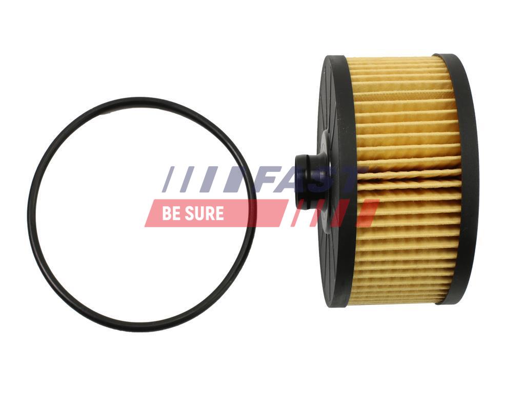 FAST FT38097 Oil Filter for...