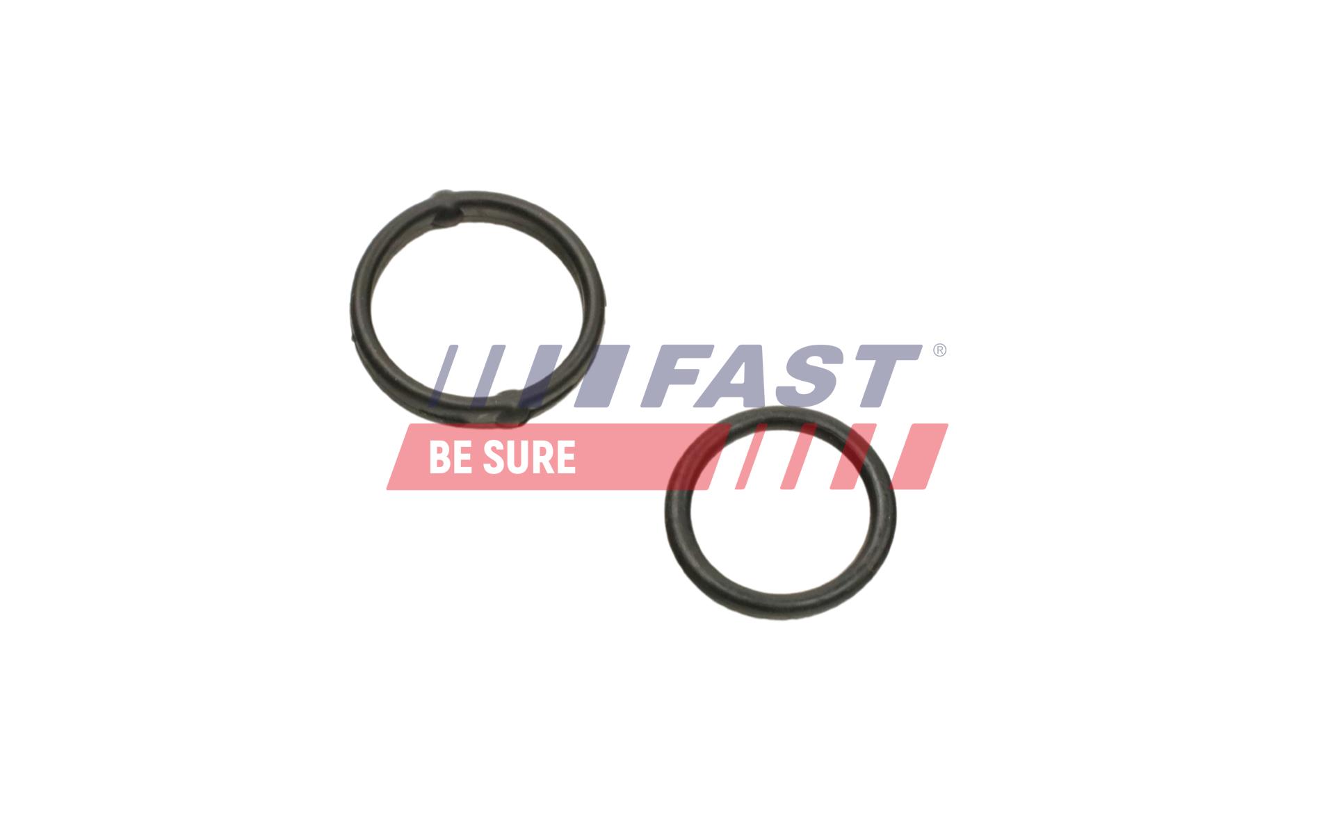 FAST FT38804 Gasket, oil...