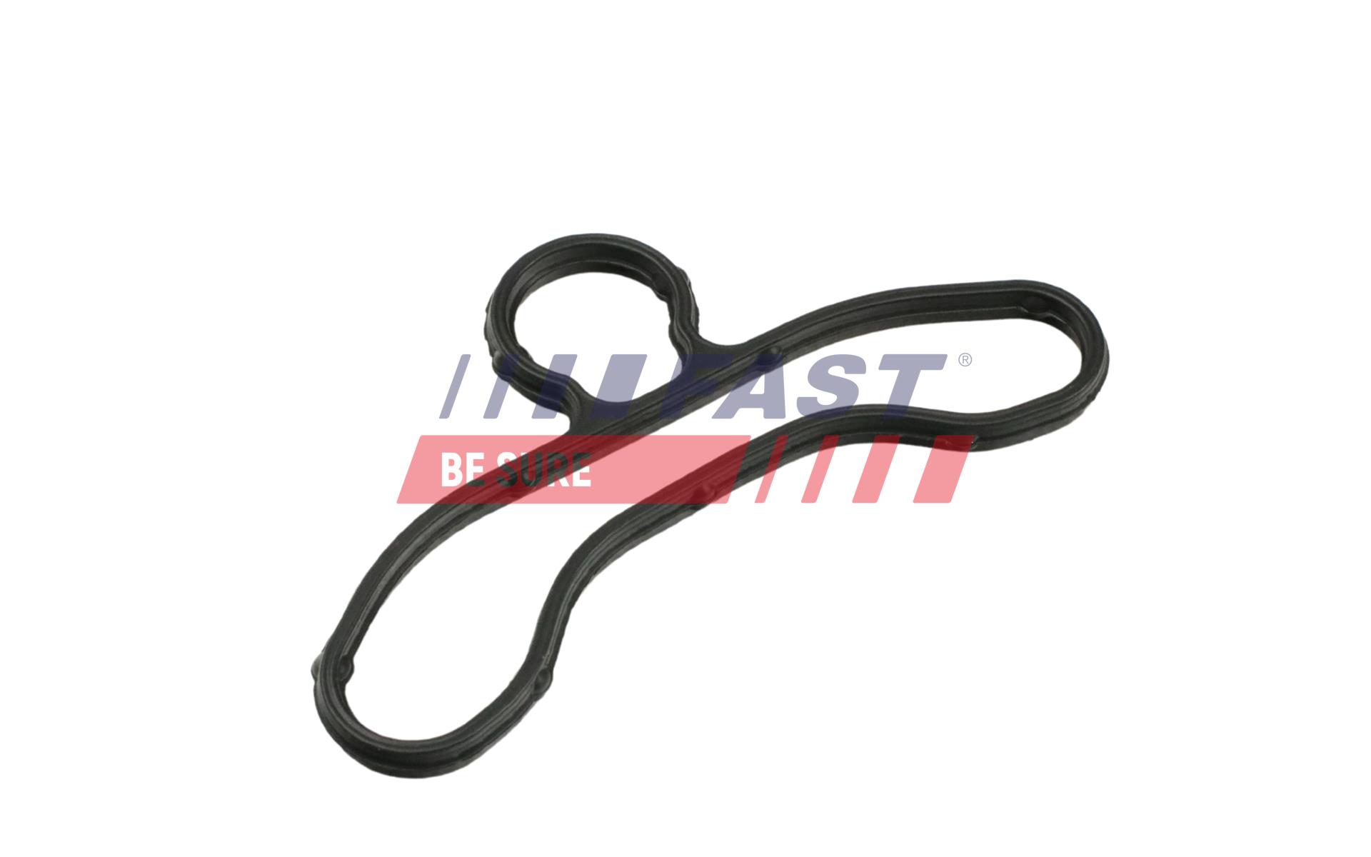 FAST FT41604 Gasket, timing...