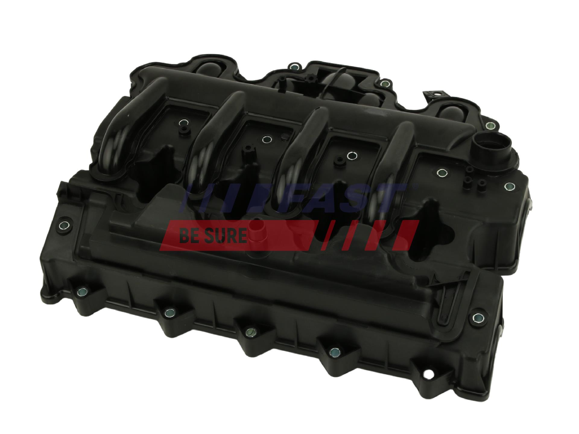 FAST FT45202 Intake...