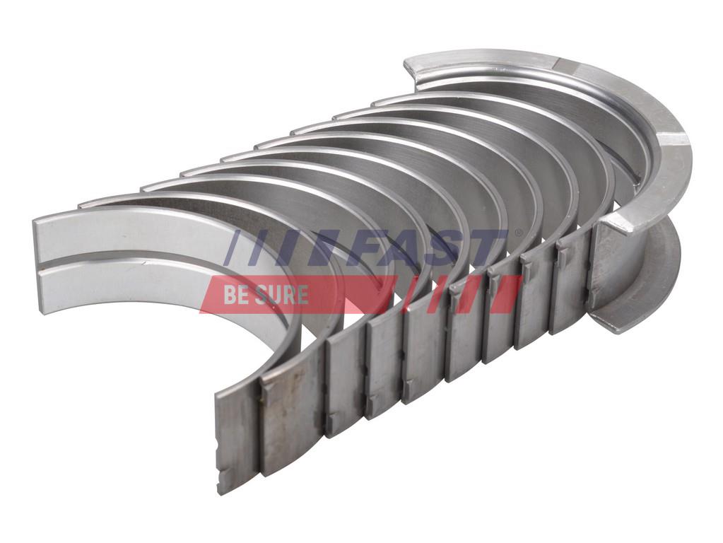 FAST FT46036/0 Crankshaft Bearing