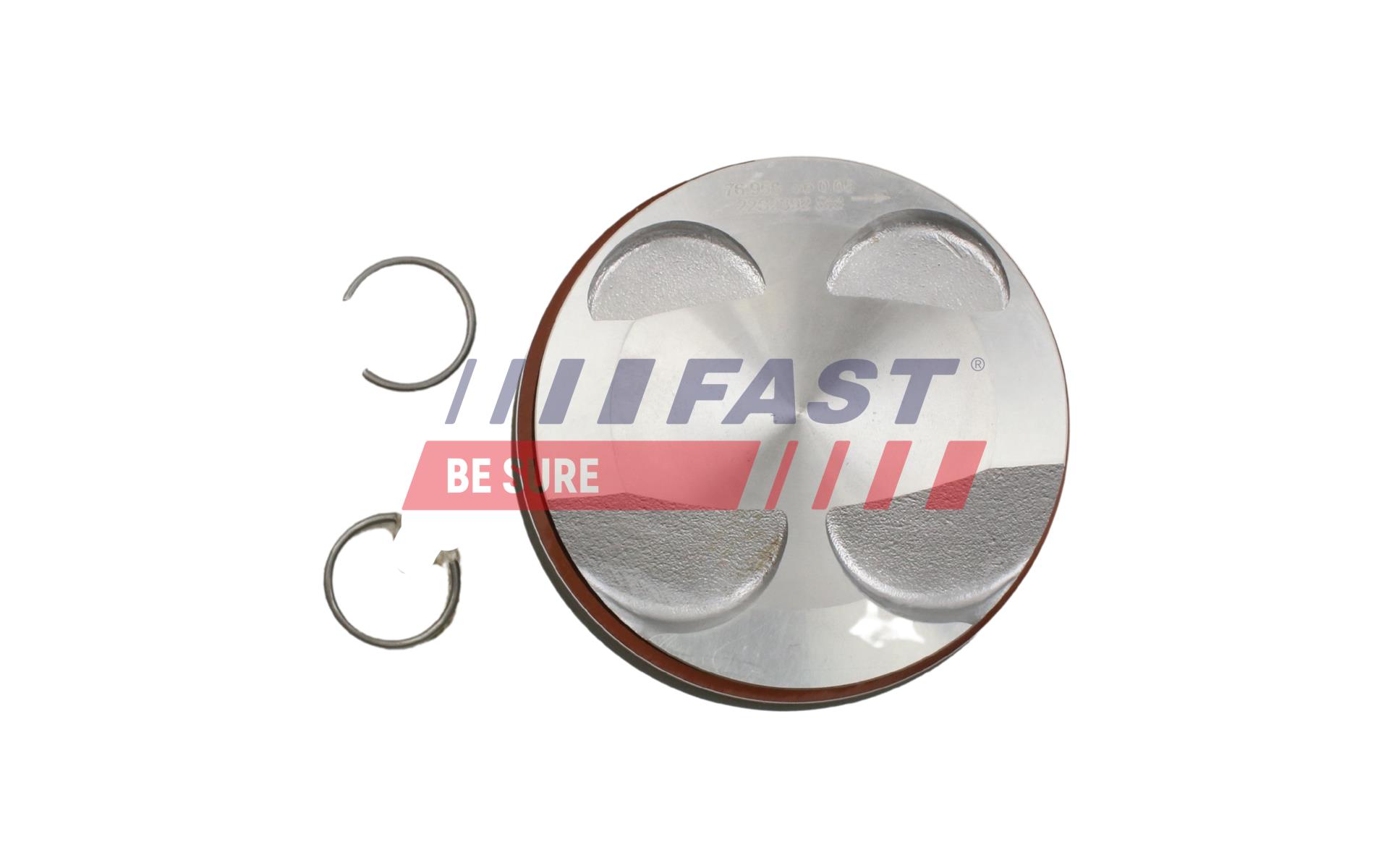 FAST FT47135/0 Piest
