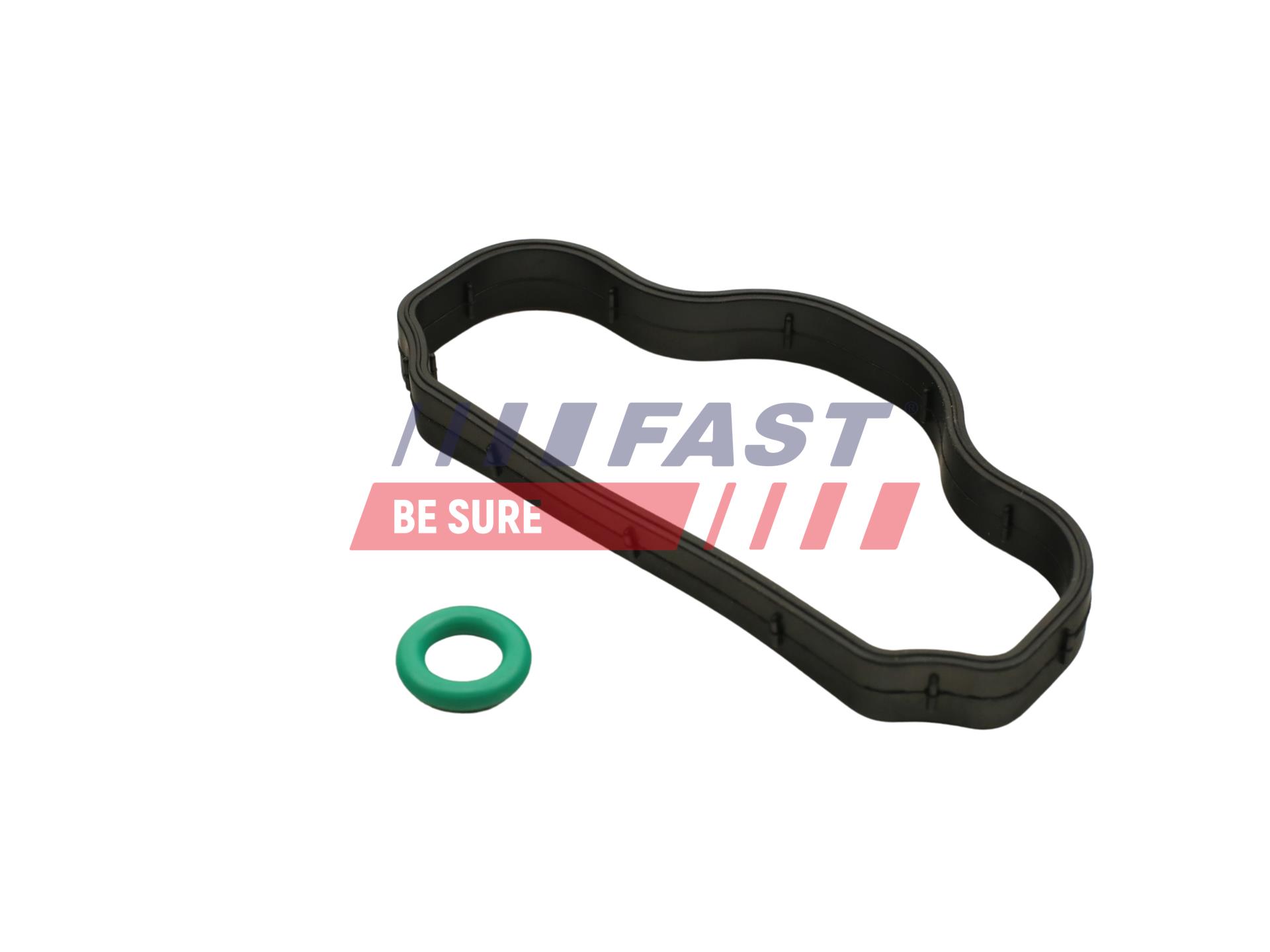 FAST FT48302 Seal Ring,...