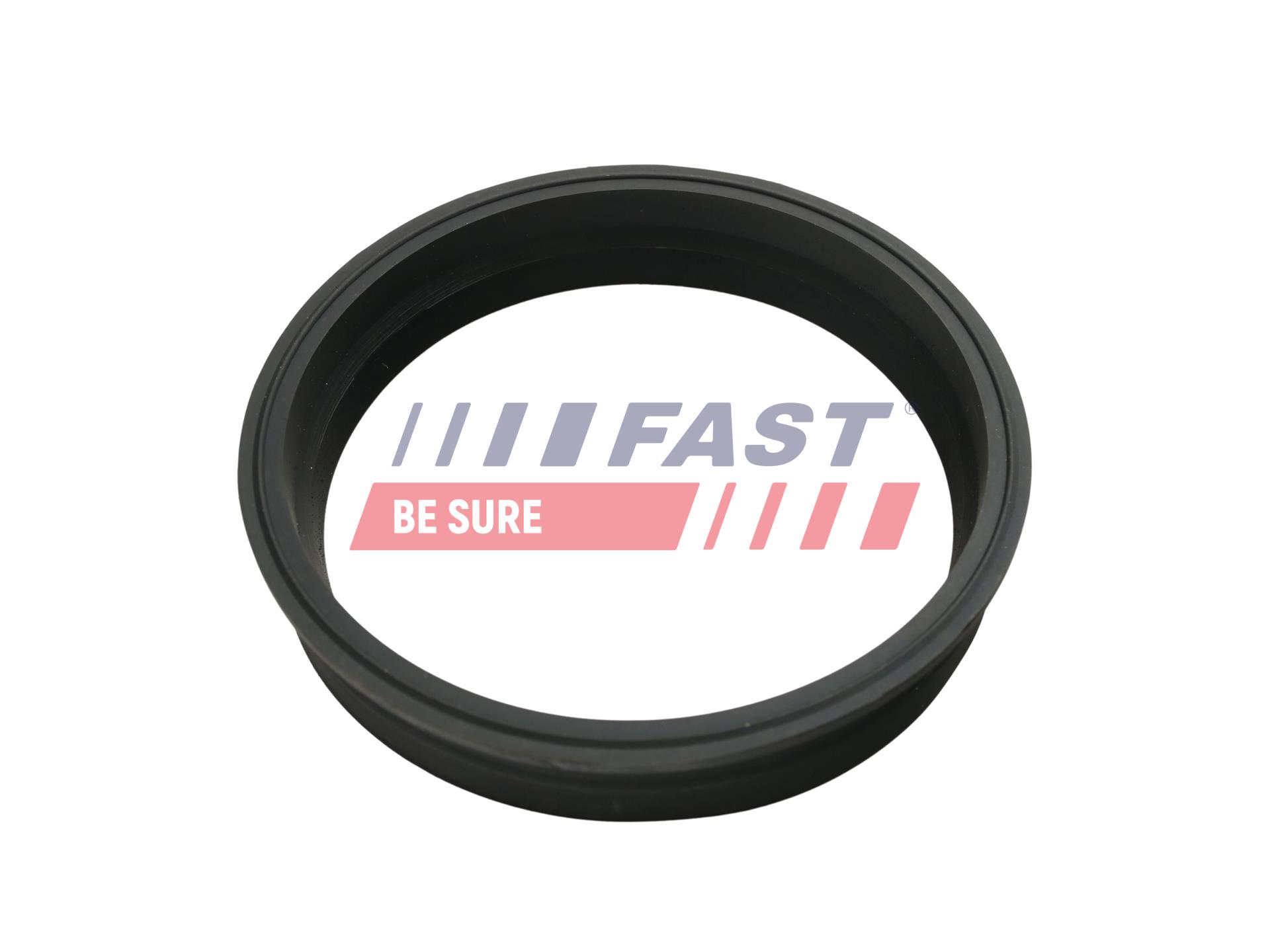 FAST FT48501 Seal, fuel...