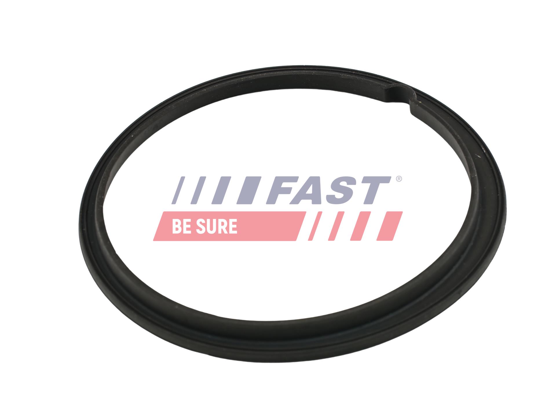 FAST FT48502 Seal, fuel...