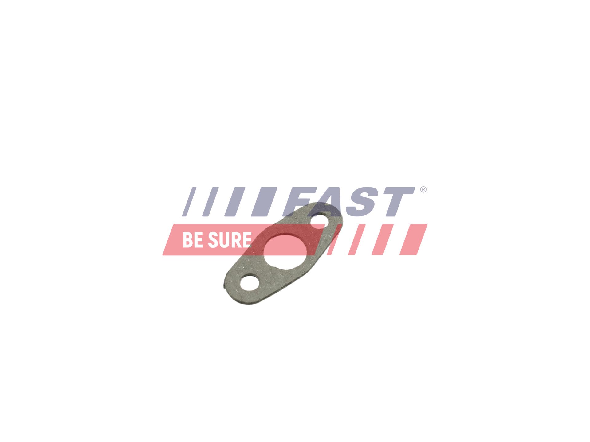 FAST FT48801 Seal, turbine...