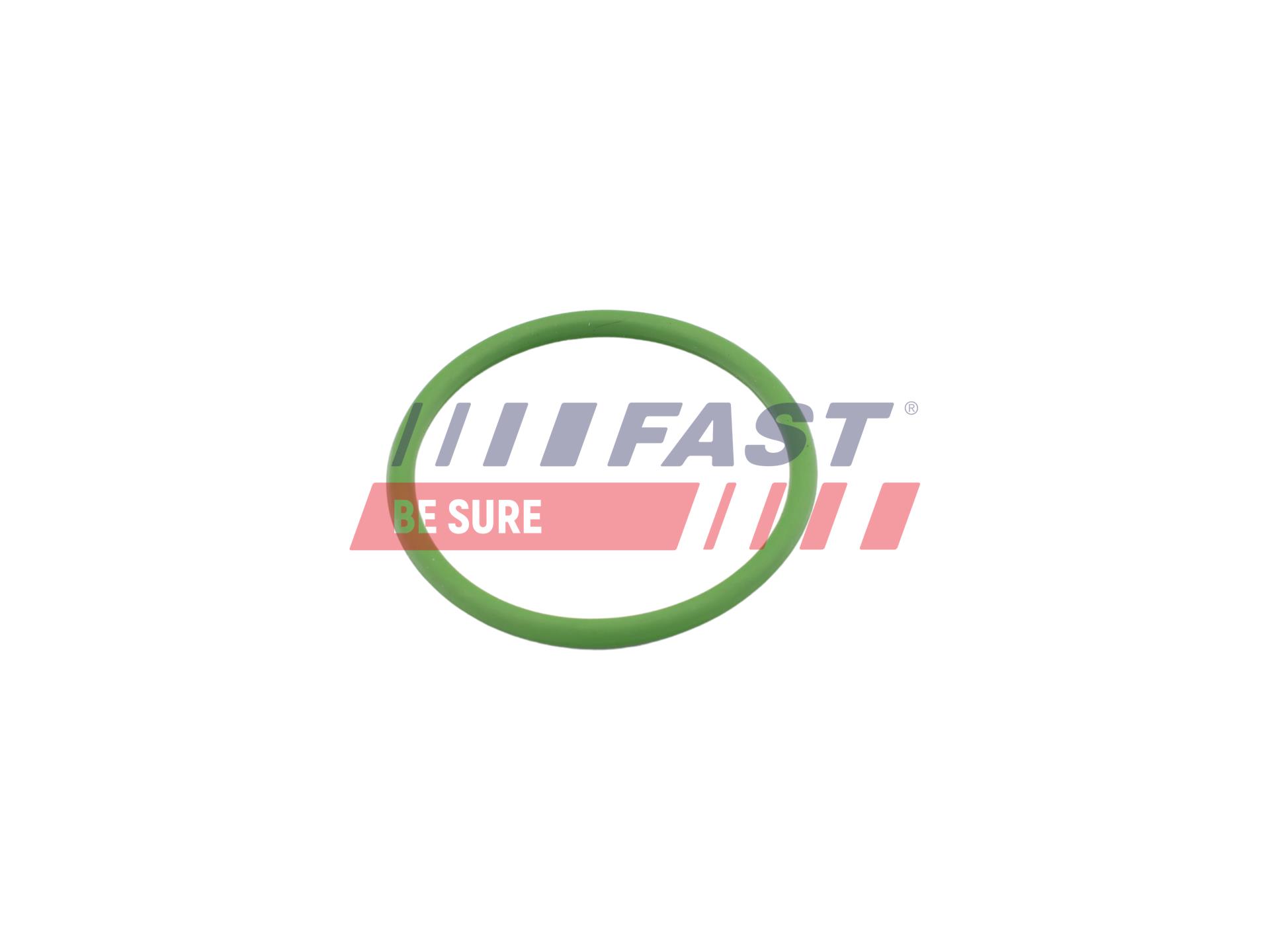 FAST FT48803 Seal, turbine...