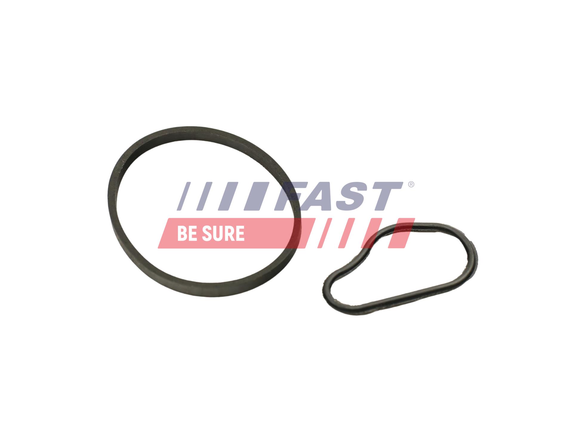 FAST FT48943 Tesnenie vákuového čerpadla