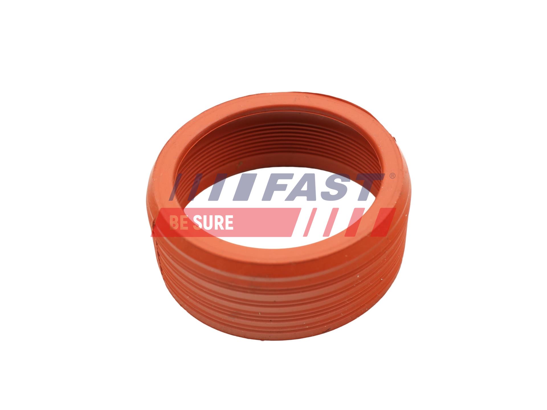 FAST FT48948 Tesniaci krúżok hadice plniaceho vzduchu