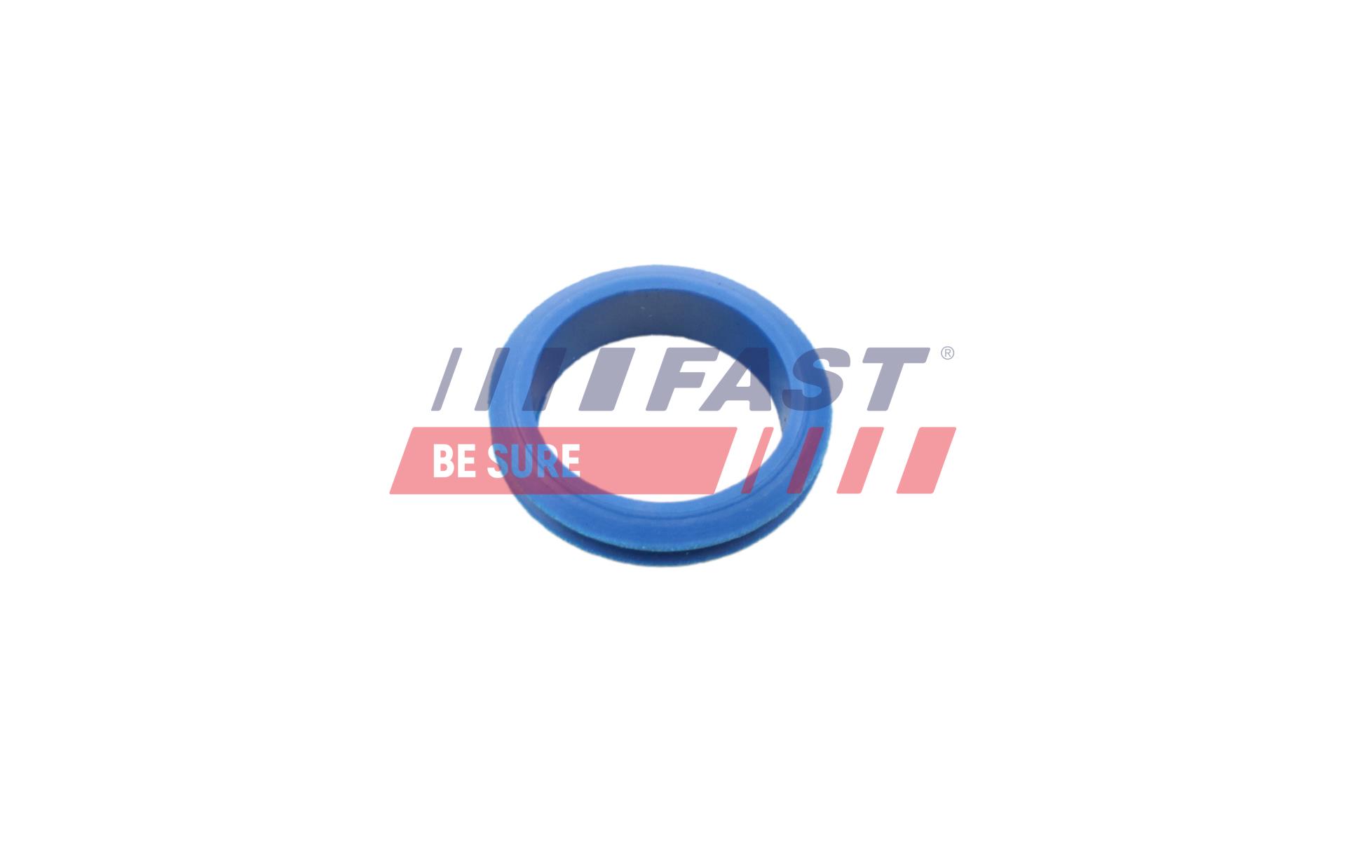 FAST FT48955 Seal, oil dipstick