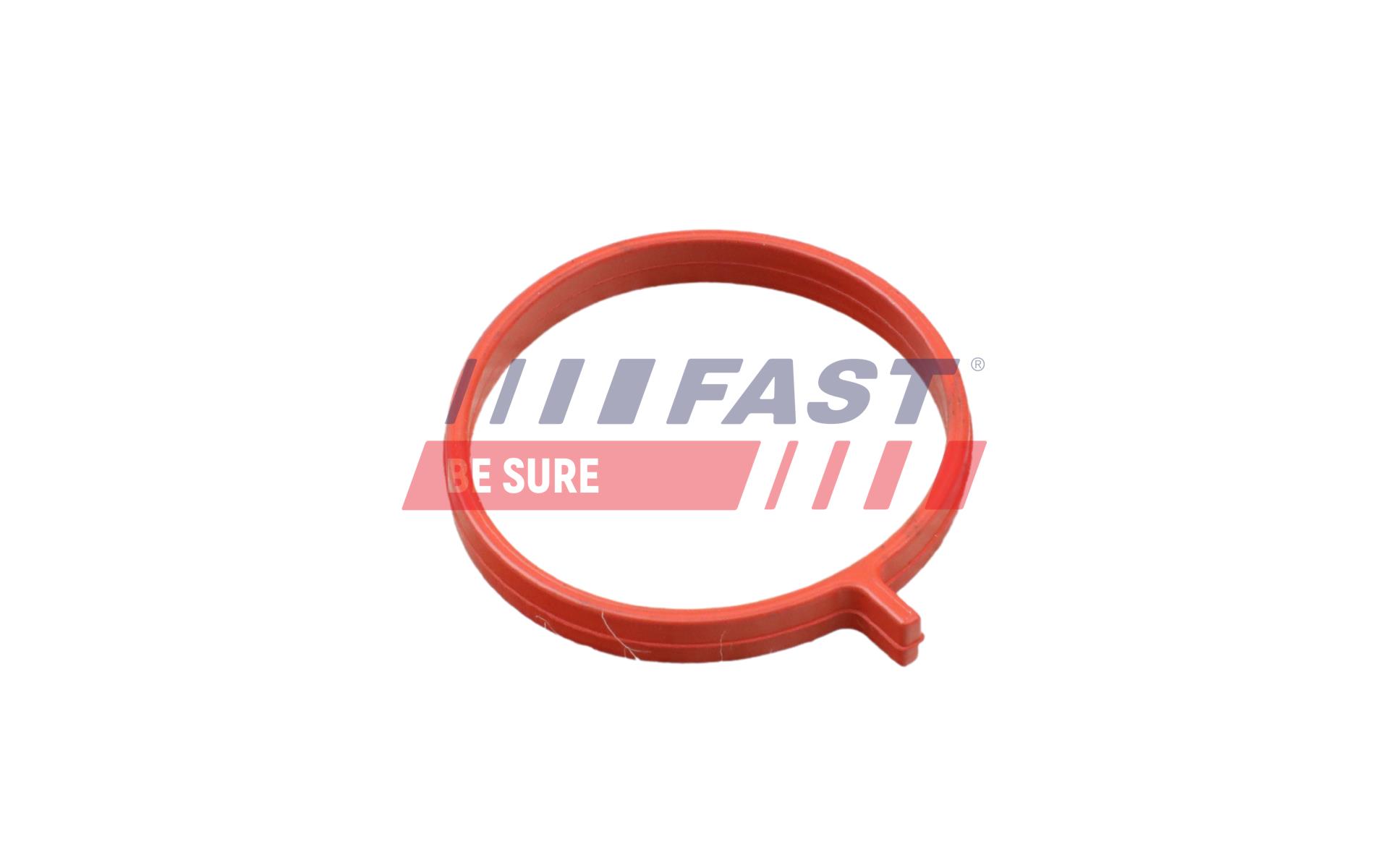 Hose, cylinder head cover ventilation