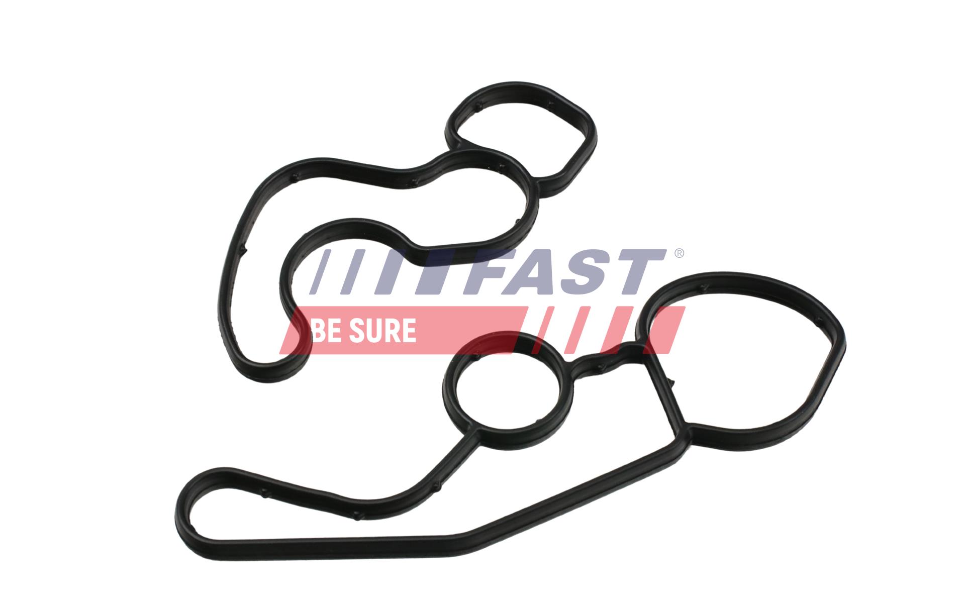 FAST FT48961 Seal Ring, oil...