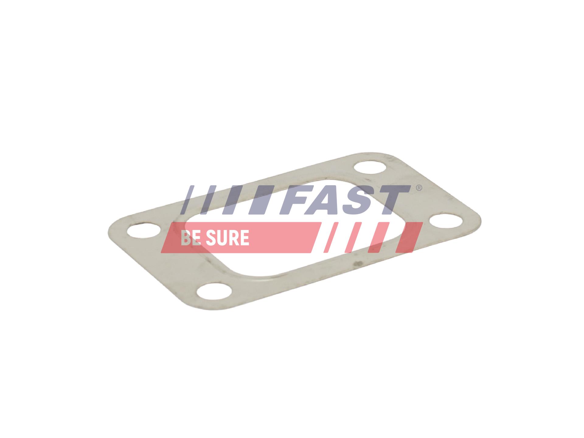 FAST FT49519 Seal, turbine...