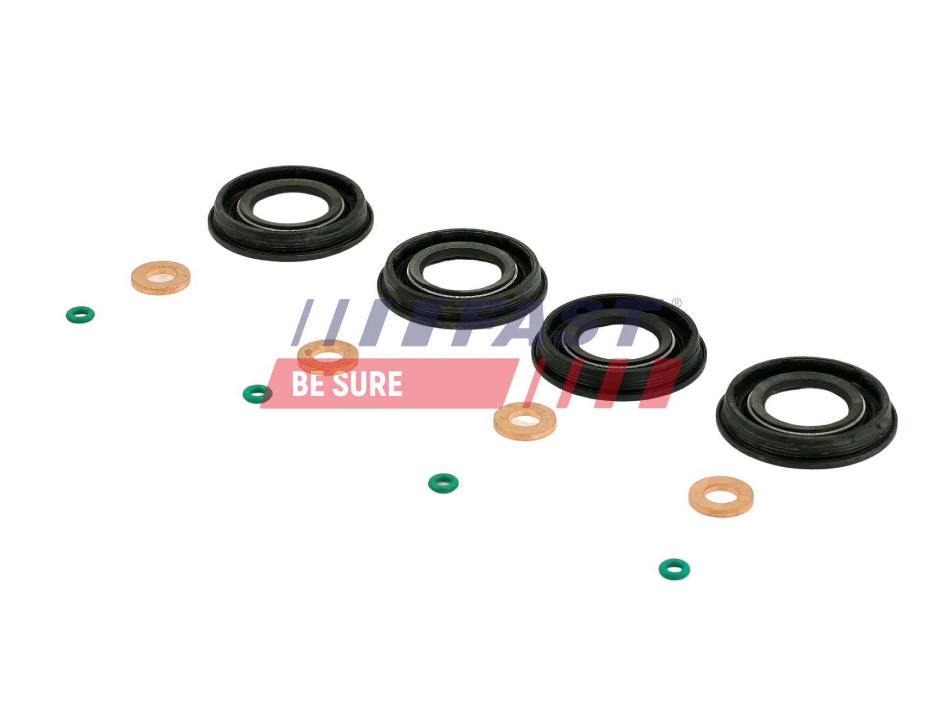 FAST FT49651 Seal Kit,...
