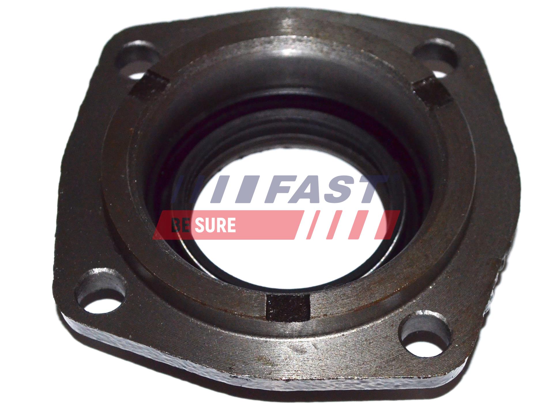 FAST FT49838 Shaft Seal,...