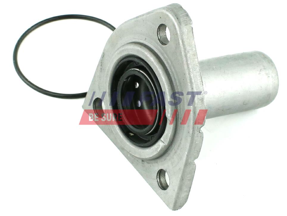 FAST FT49840 Seal Ring, oil...
