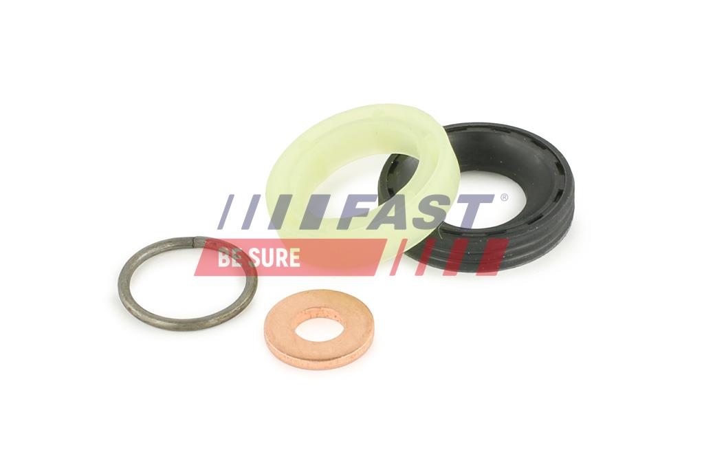 FAST FT49842 Seal Kit,...