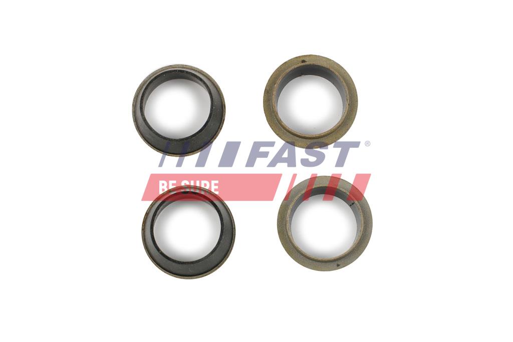 FAST FT49843 Seal Kit,...