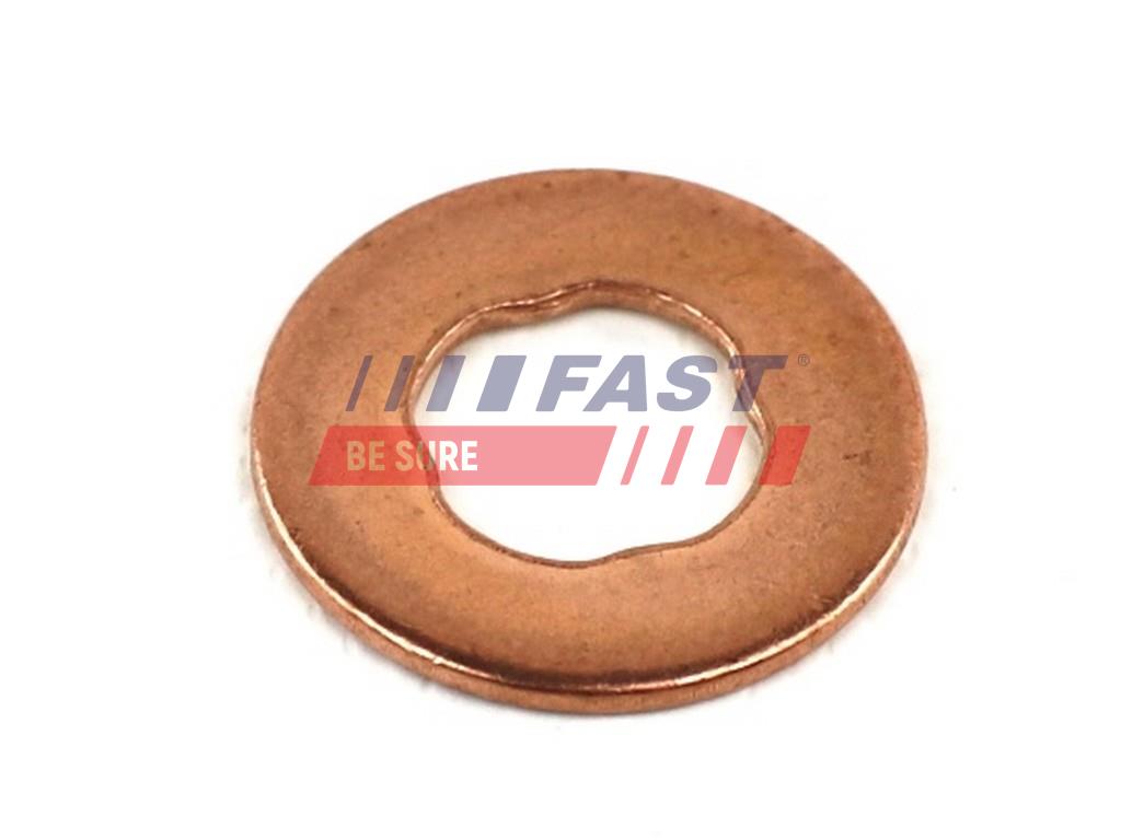 FAST FT49845 Seal Ring,...
