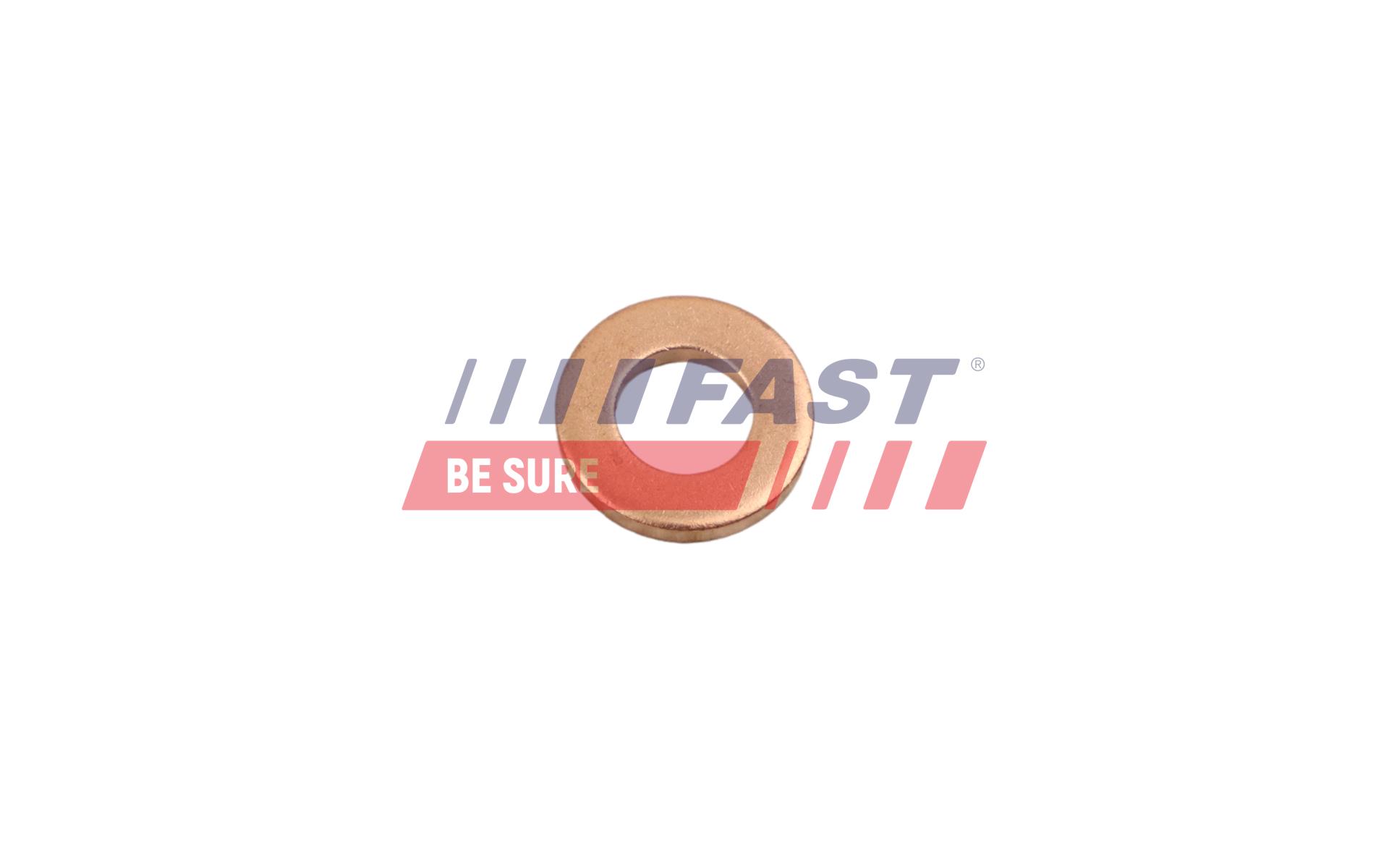 FAST FT49846 Seal Ring,...