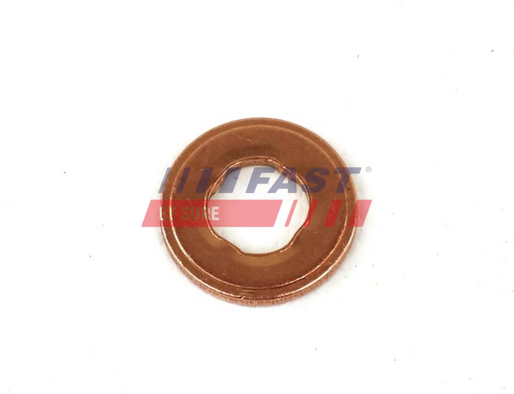 FAST FT49847 Seal Ring,...