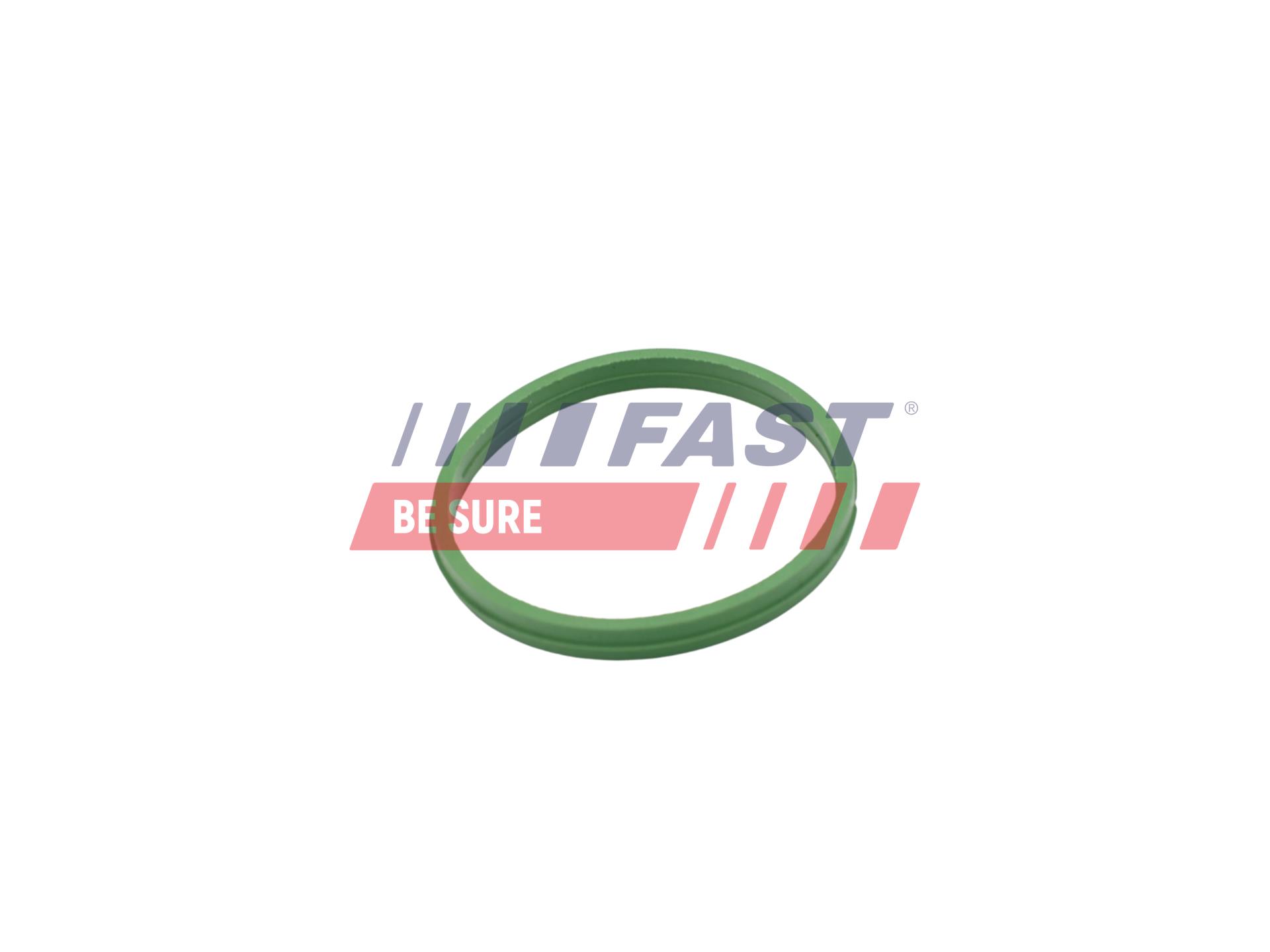 FAST FT49855 Seal Ring, oil...