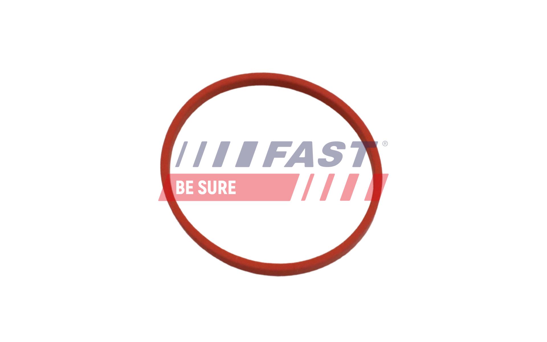 FAST FT49868 Tesnenie, Vedenie AGR-ventilu
