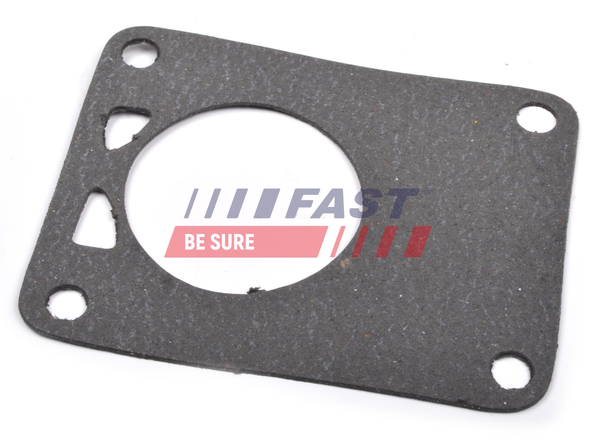 FAST FT49901 Gasket, vacuum...