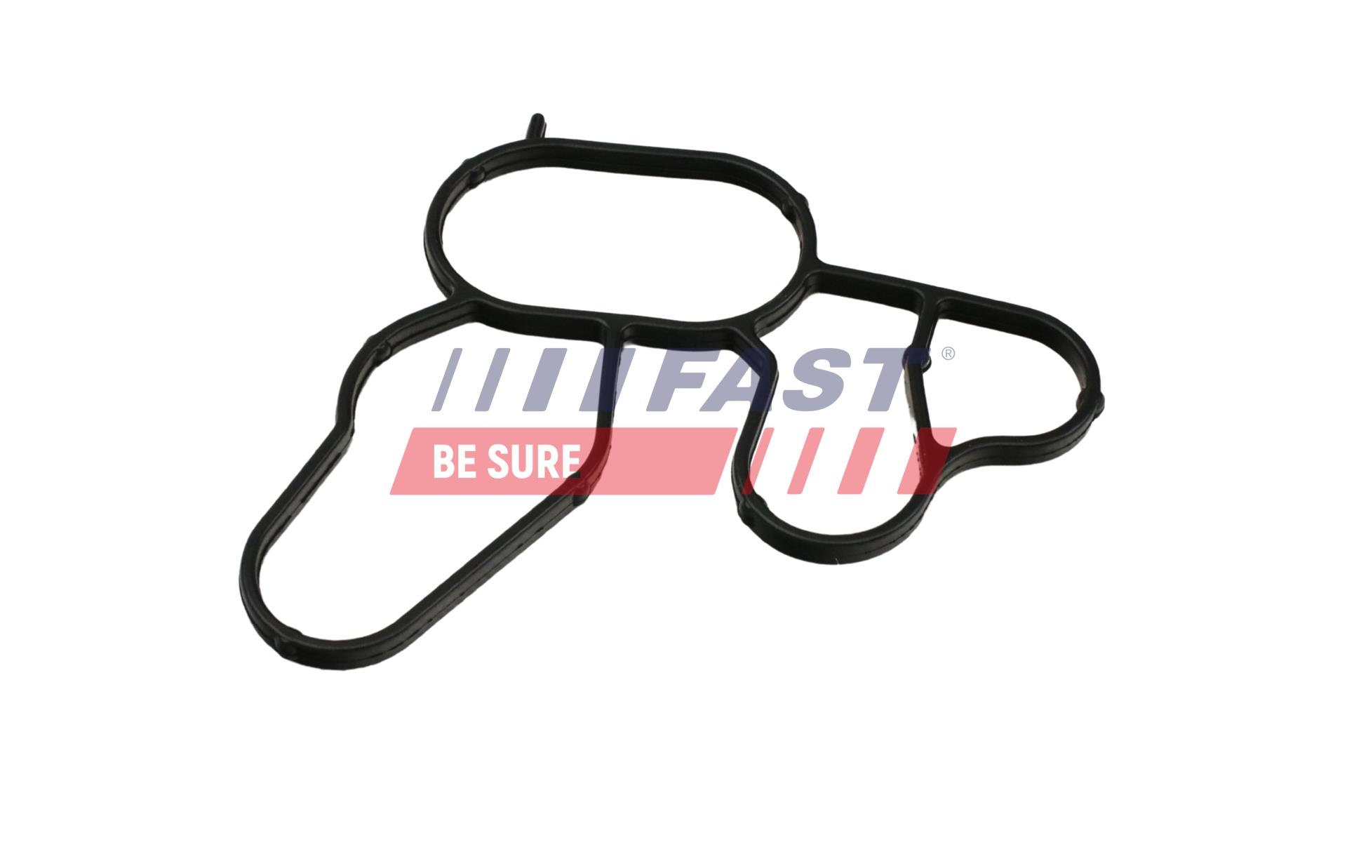 FAST FT49912 Seal Ring, oil...