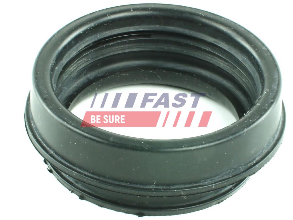 FAST FT49914 Seal Ring, air...