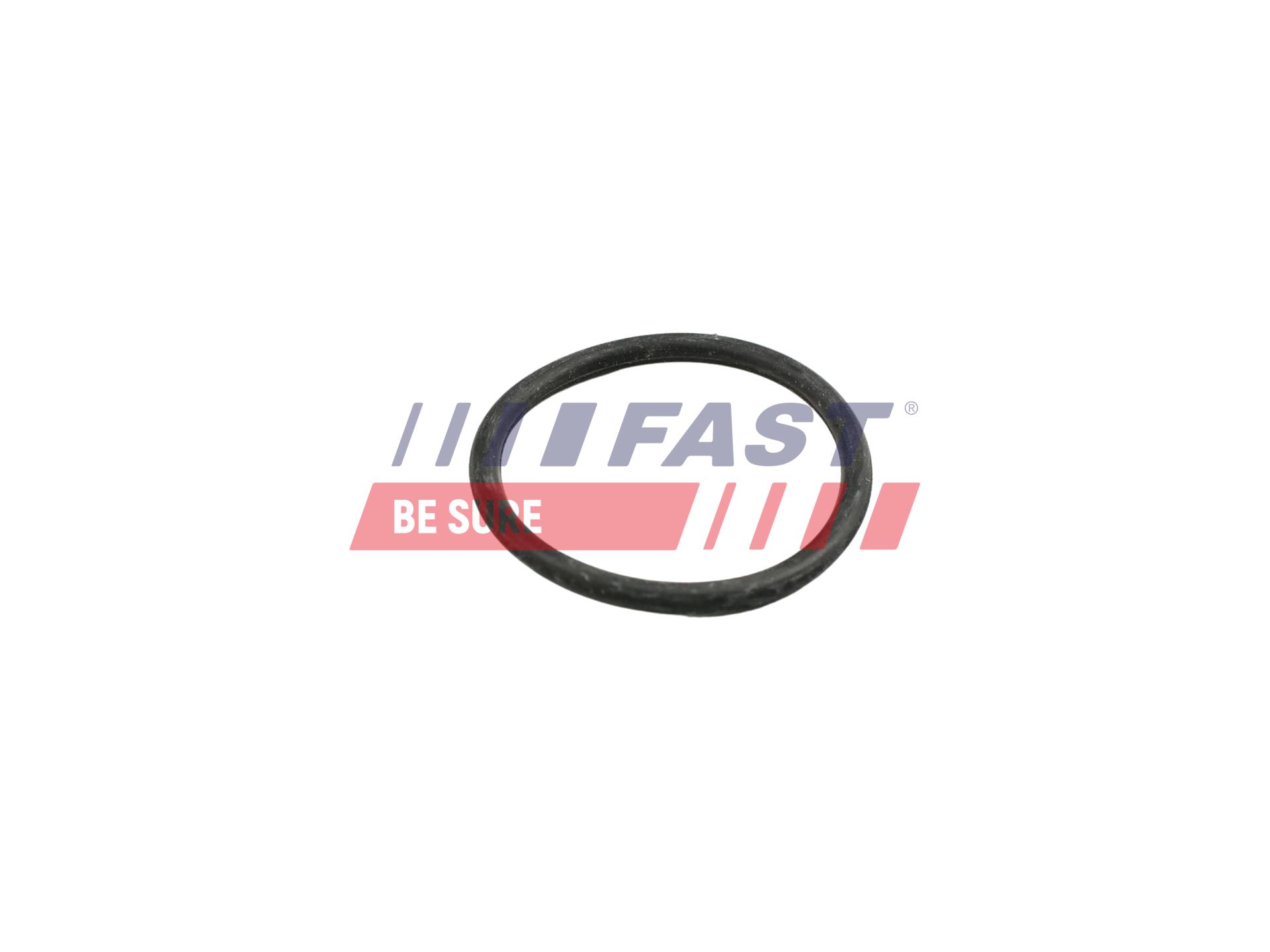 FAST FT49918 Gasket,...