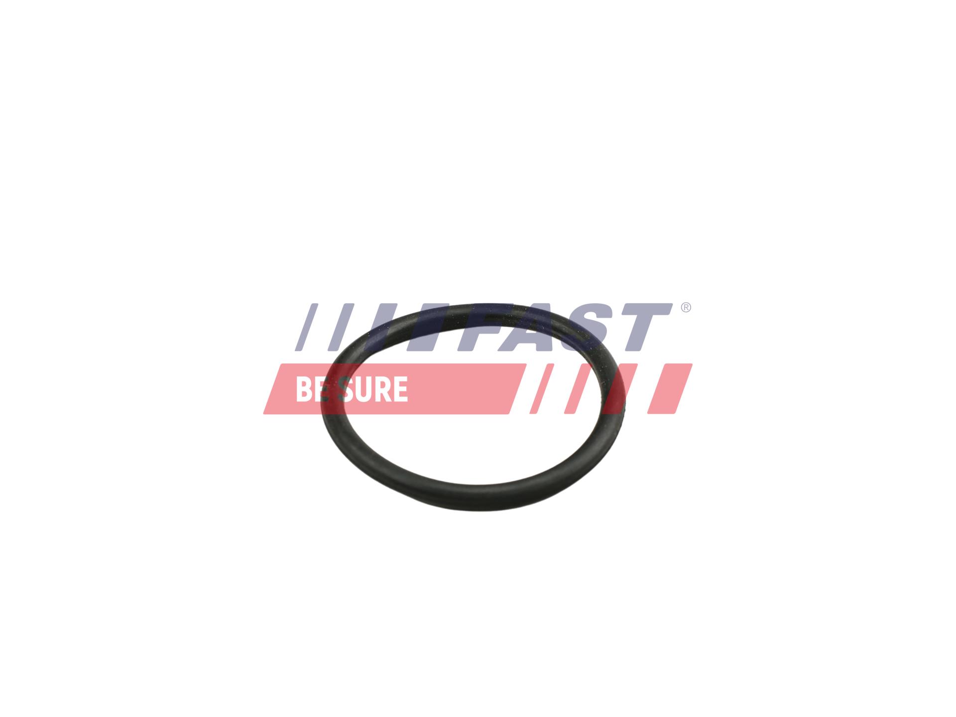 FAST FT49919 Seal Ring,...