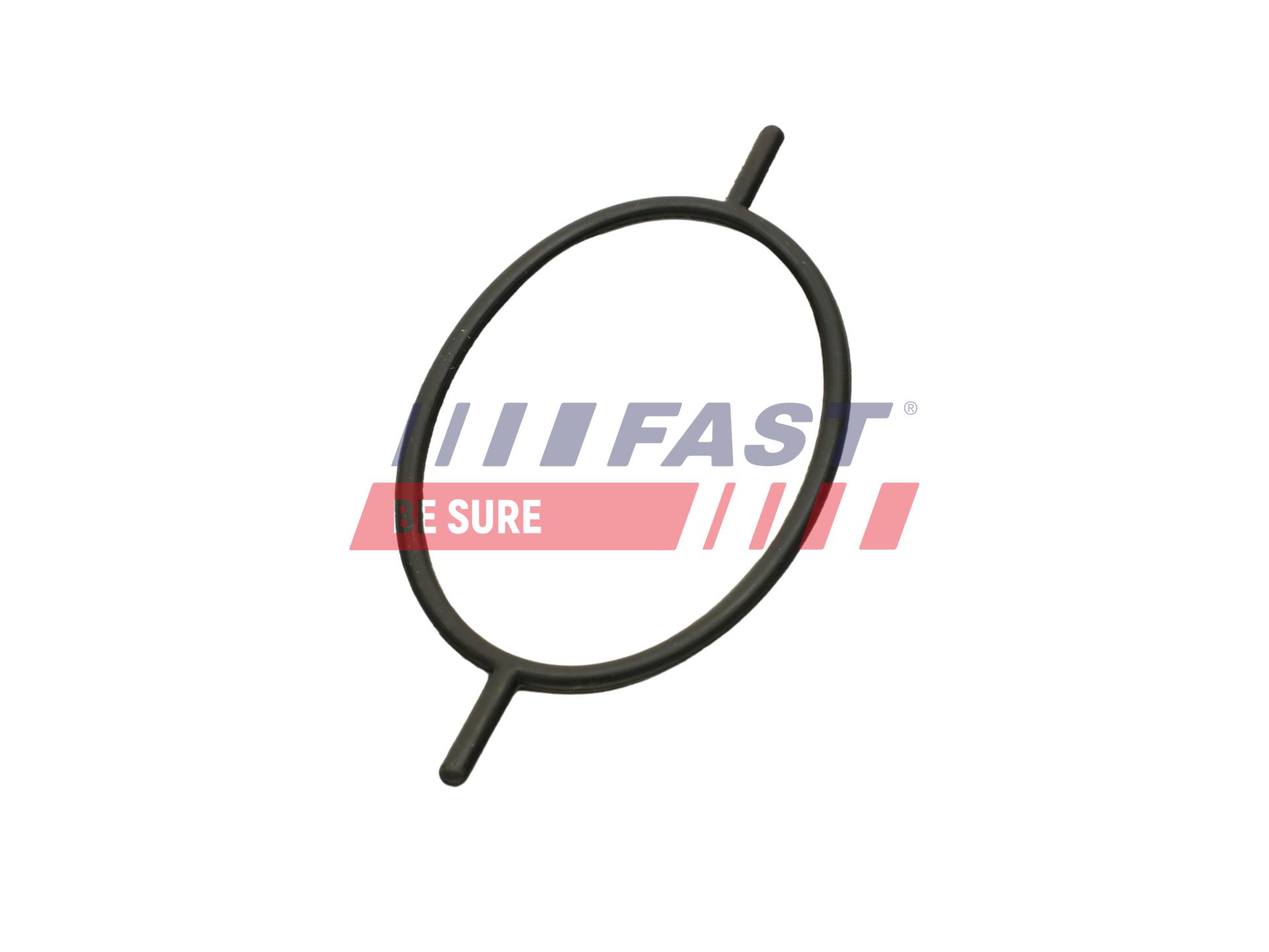 FAST FT49923 Gasket, vacuum...