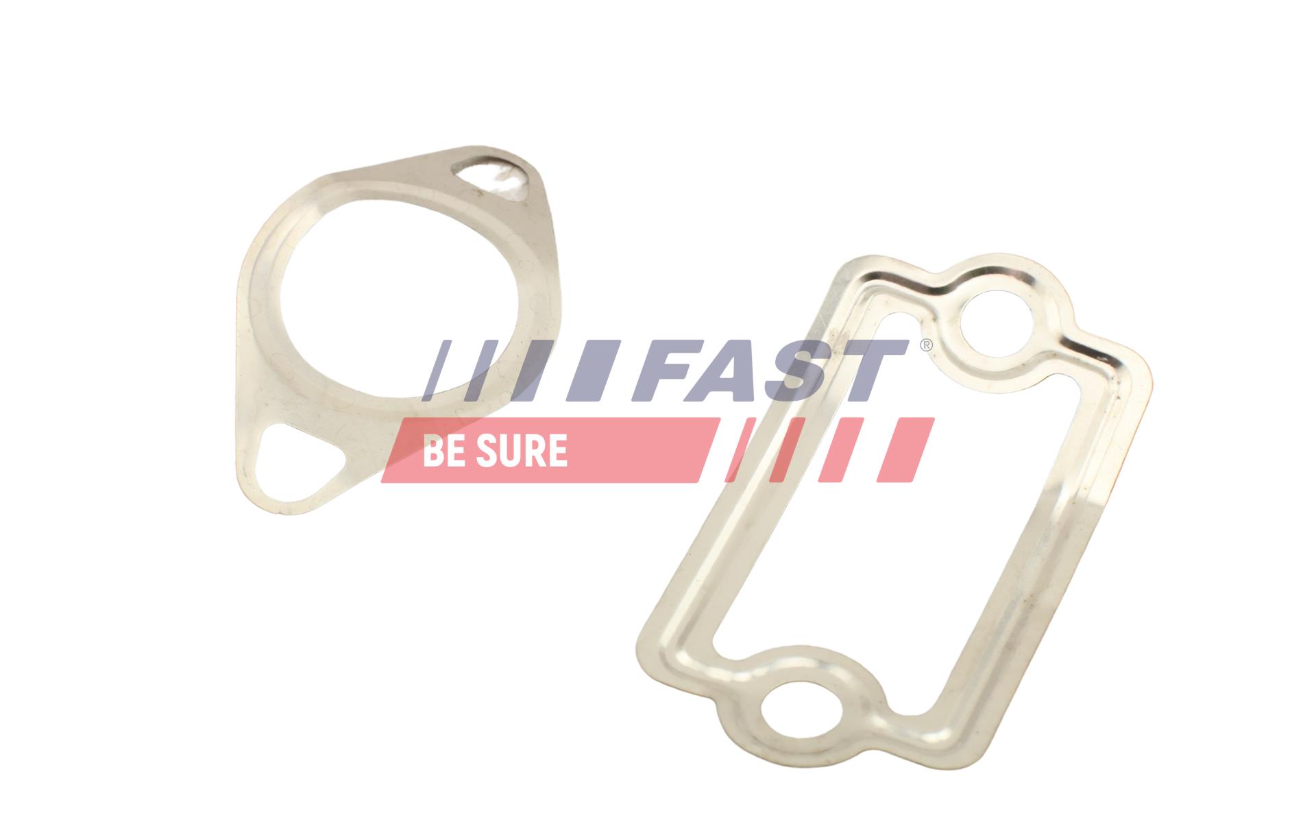 FAST FT49925 Tesnenie, Vedenie AGR-ventilu