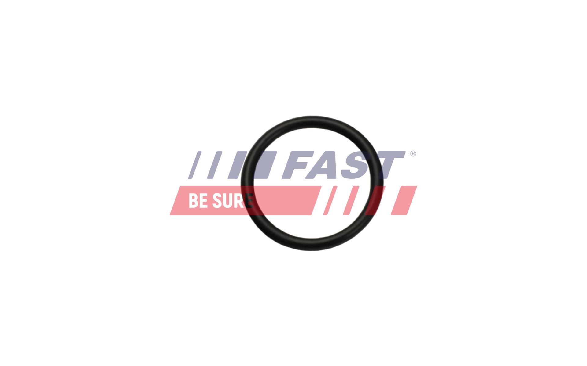 FAST FT49926 Gasket, heater...