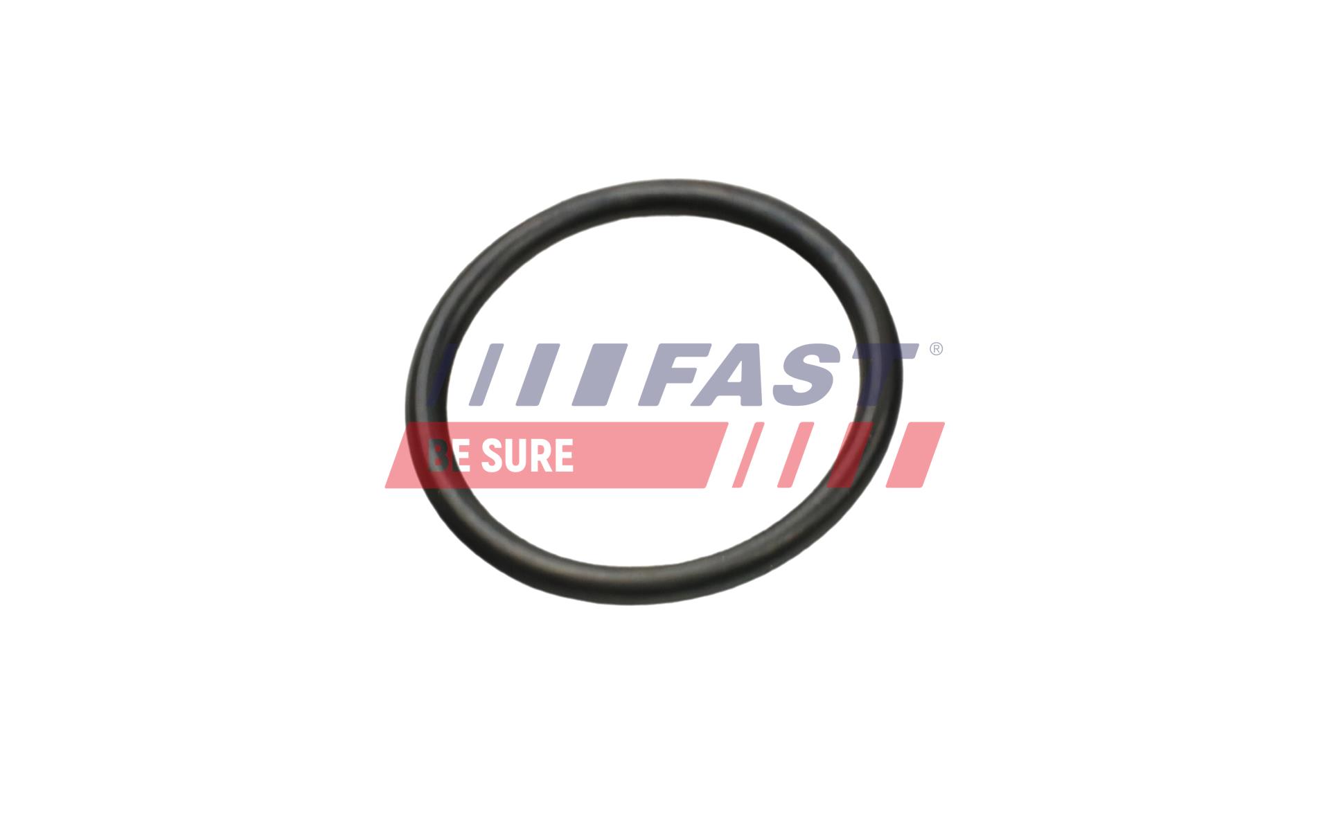 FAST FT49927 Gasket,...