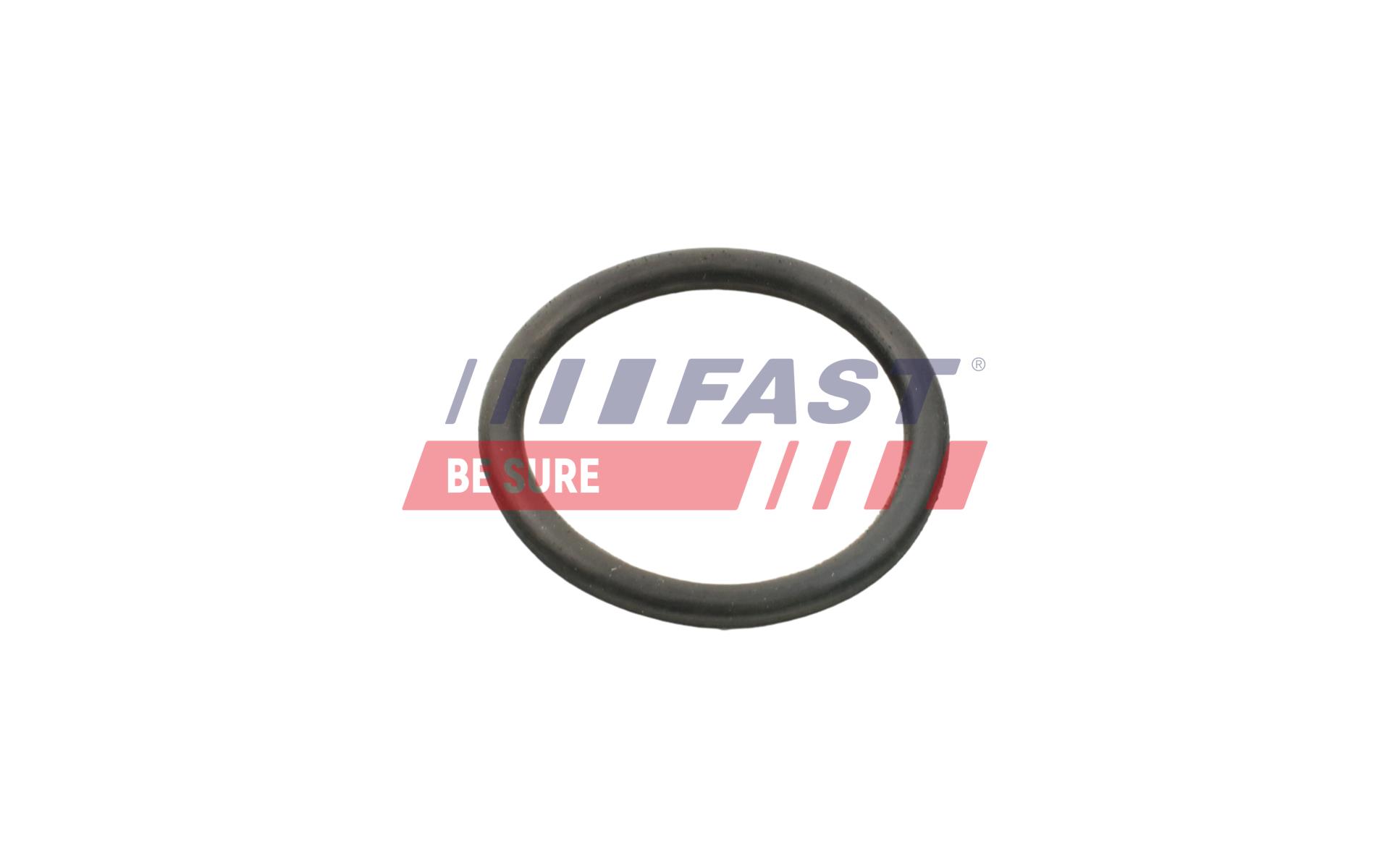 FAST FT49934 Gasket, water...