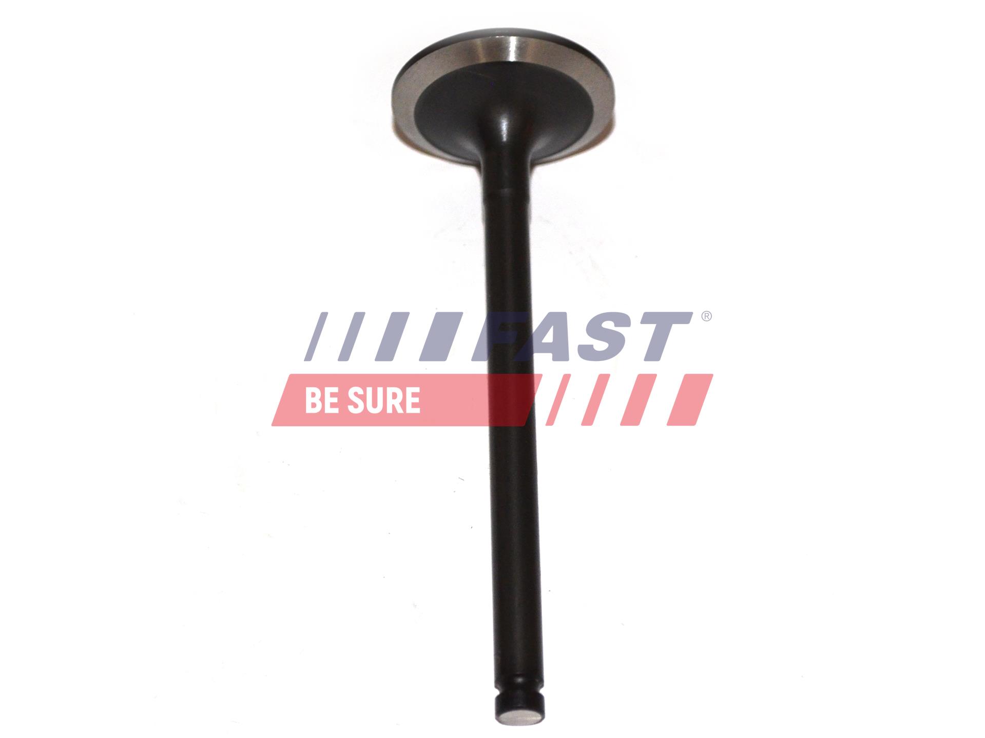 FAST FT50013 Intake Valve...