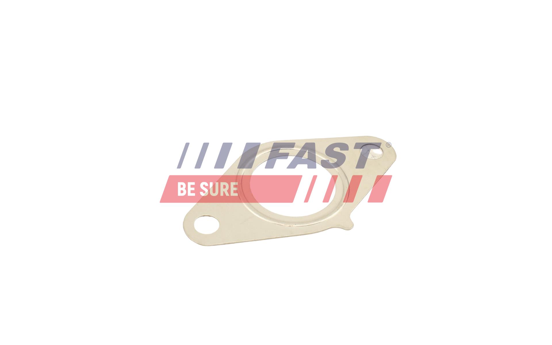 FAST FT50616 Tesnenie, AGR-Ventil