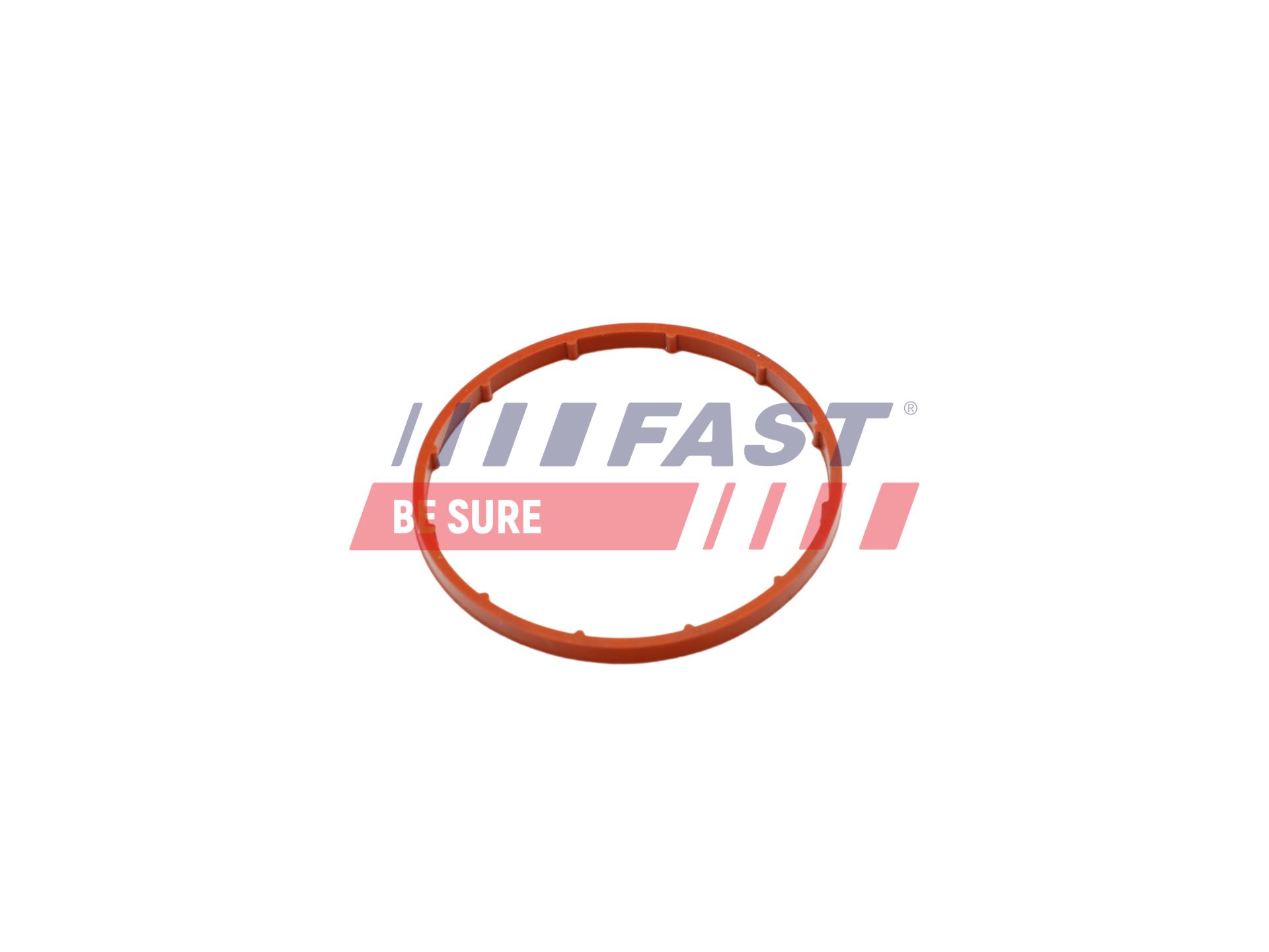 FAST FT50701 Tesnenie vákuového čerpadla