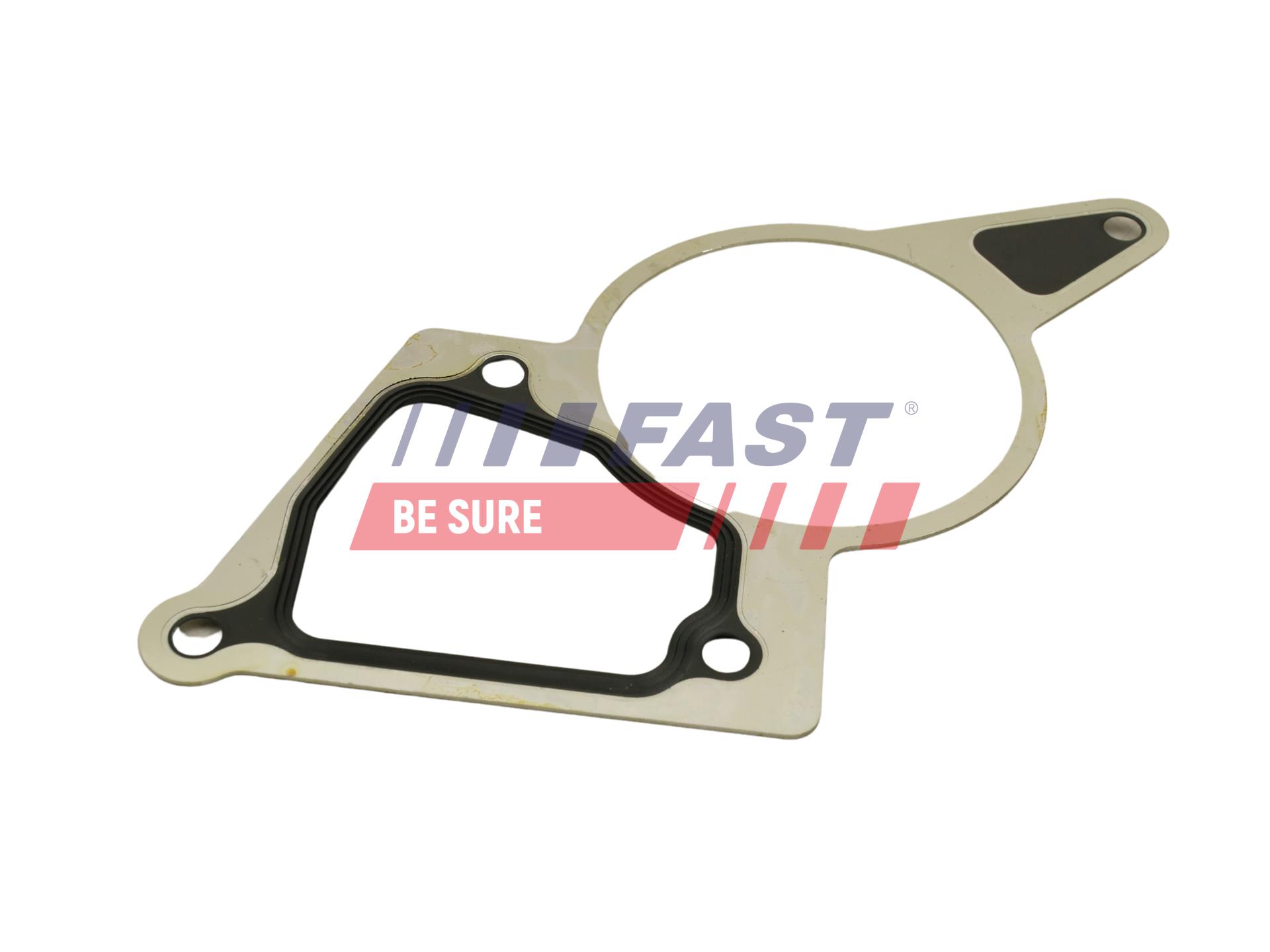FAST FT50703 Gasket, vacuum...