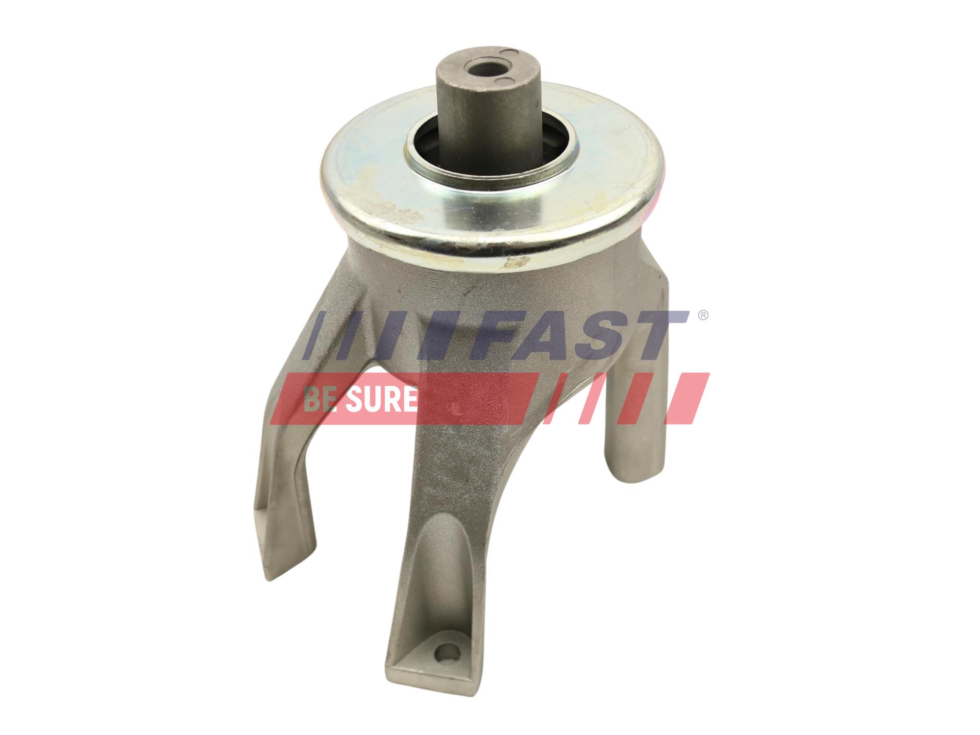 FAST FT52025 Mounting, engine