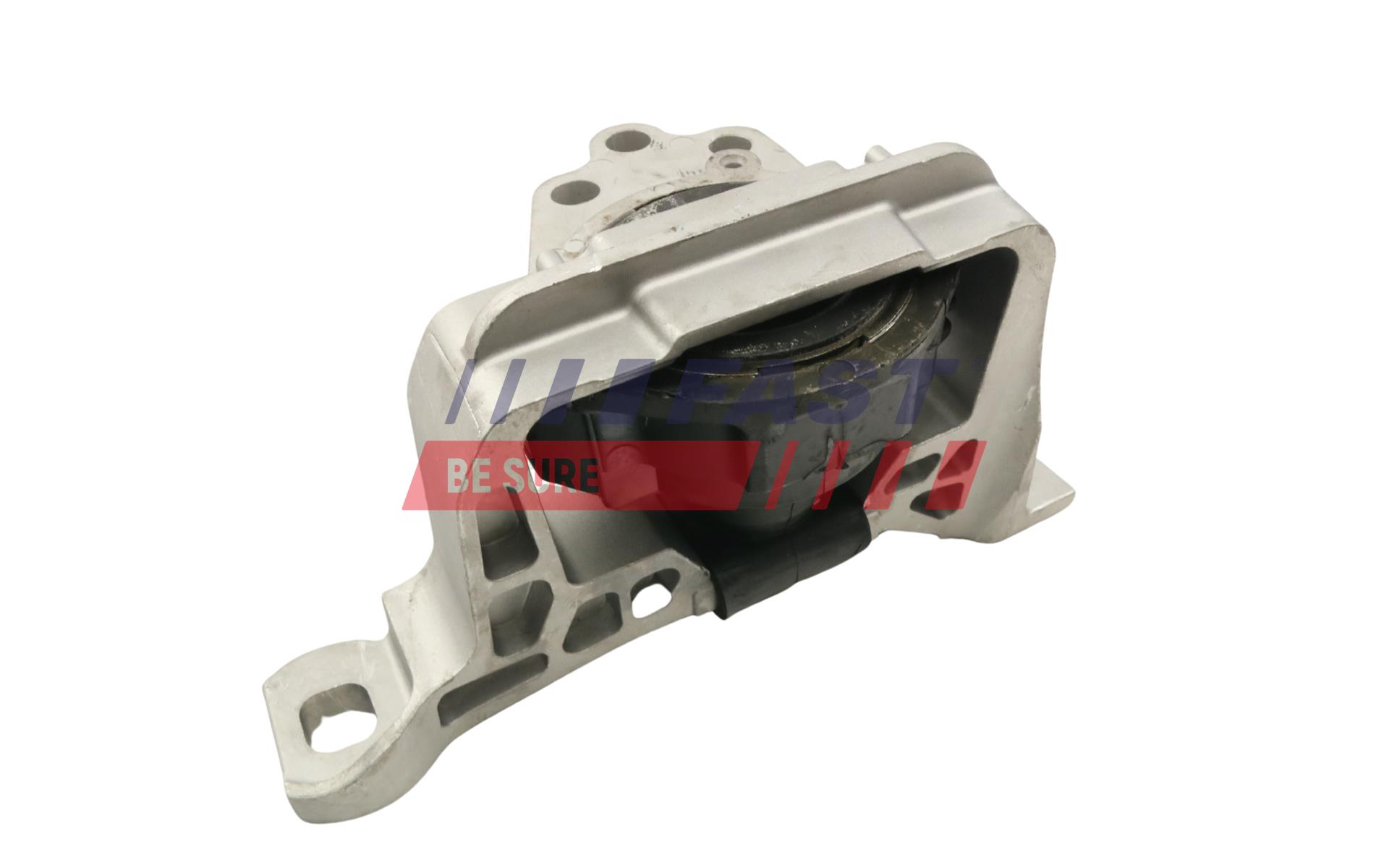 FAST FT52030 Mounting, engine