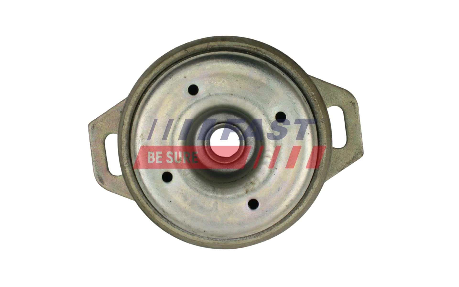 FAST FT52038 Mounting, engine
